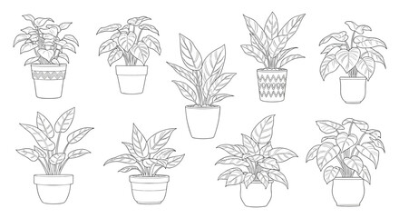 Fototapeta premium Collection of outlined houseplants in pots, ready for coloring or as decorative elements in various designs.