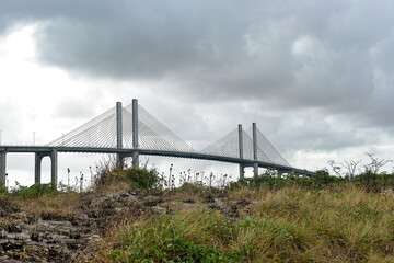 Fototapeta premium Newton Navarro cable-stayed bridge in Natal, Brazil, rising above a preserved mangrove swamp and dry vegetation, contrast between infrastructure and environment, horizontal, Newton Navarro bridge
