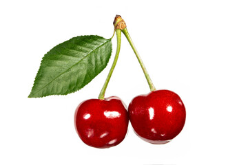 Two cherries with one green leaf on isolated background close-up, for juice or jam packaging design