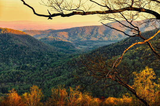 Golden-hour sun lights rolling Blue Ridge slopes and spring foliage, framed by bare branches.