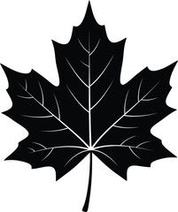 Naklejka premium “Crisp maple leaf silhouette with detailed veins, bold black vector graphic ideal for nature themes, seasonal designs, icons and decorative prints.”