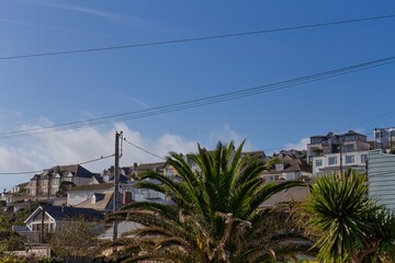 Coastal homes nestle on a hillside under a bright blue sky. Palm trees frame the scene in Perranporth - Cornwall - UK