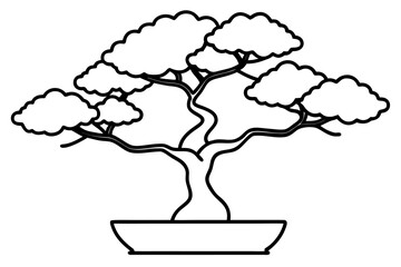Bonsai Tree