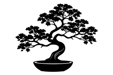 Bonsai Tree