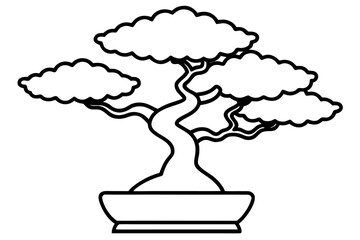 Bonsai Tree