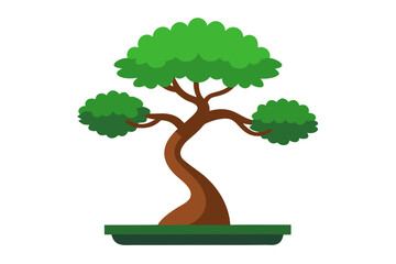 Bonsai Tree