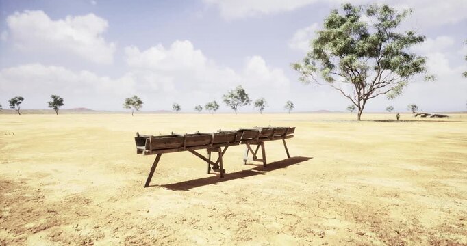 A solitary wooden bench sits in a dry, barren landscape, surrounded by sparse trees and a vast flat terrain. The bright midday sun illuminates the expanse, creating a sense of isolation.