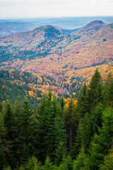 Fototapeta premium Stunning autumn colors on the slopes of Bucegi Mountains, southwest of Sinaia, Romania