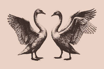 Fototapeta premium Neon Retro Swan Duo Poster — Vintage Xerography Engraving Style Two Symmetrical Swans with Spread Wings on Soft Pastel Background