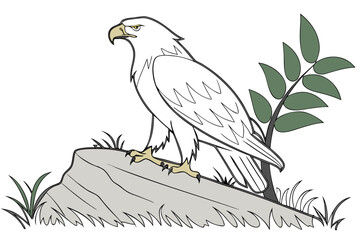 Bald Eagle Perched on Bare Branch Vector Illustration - Monochrome Graphic