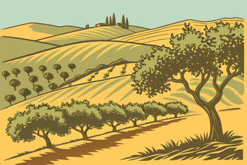 Sun-drenched olive grove hills with repeating tree rows, warm baked-earth tones, gentle shadow depth