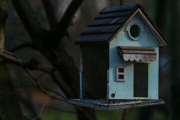 Drewniany niebieski karmnik w cieniu leśnych drzew © Kacper