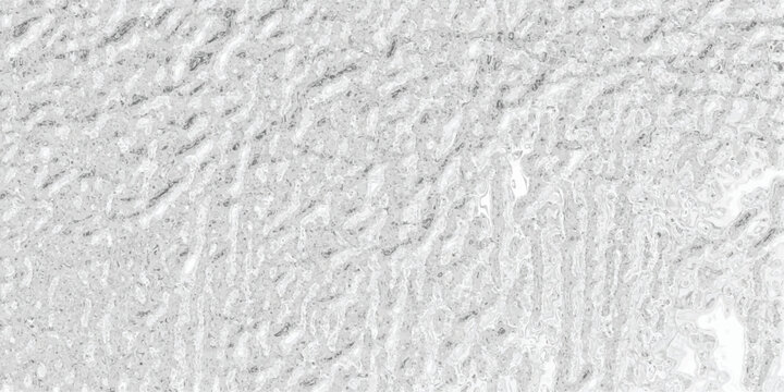 Close-up macro texture of a rough, uneven metallic surface with a brushed or hammered finish in grayscale, showcasing intricate details and subtle highlights