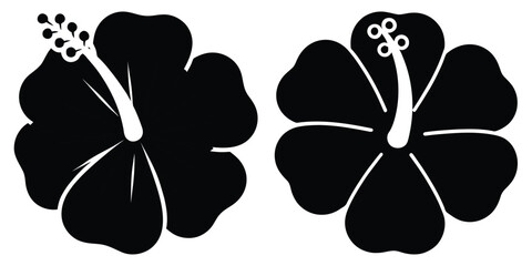 hibiscus silhouette flowers isolated on transparent background © Bipul