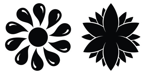 sundrop bloom silhouette flowers isolated on transparent background
