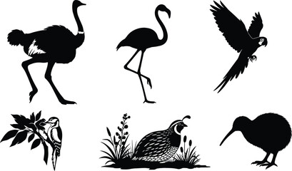 Bird silhouettes, ostrich, flamingo, parrot, woodpecker, quail, kiwi, wildlife vector, nature clipart, black birds, tropical, perched, flying, s