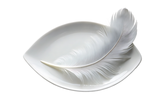White ceramic feather-shaped plates stacked together with detailed texture and elegant organic form, isolated on a transparent background