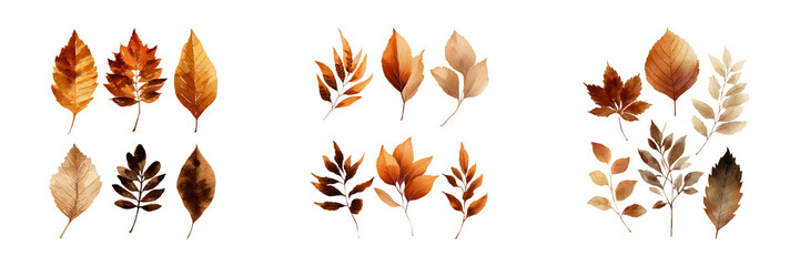 Softly Painted Autumn Leaves on Transparent Background