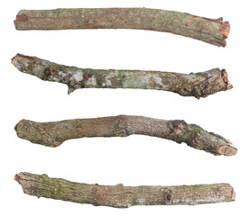 Realistic isolated tree branches with natural bark texture on a white background, suitable for nature design, forest elements, botanical references, materials, and environmental visual compositions.