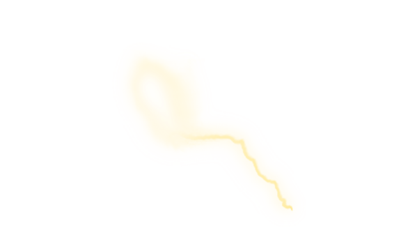 Abstract flowing luminous yellow light organic shape with glow