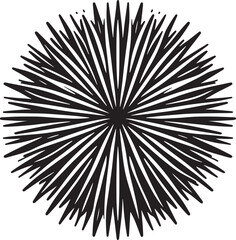 Fototapeta premium Black and white starburst on a white background. Vector illustration..eps