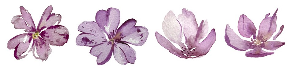 Magnolia, cherry, spring, watercolor painting