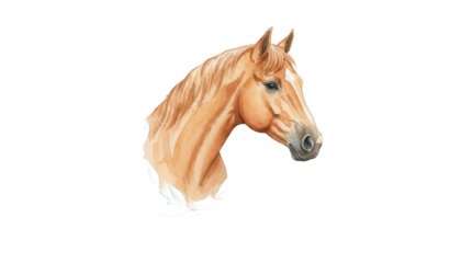 Watercolor Portrait of Horse With Floral Wreath