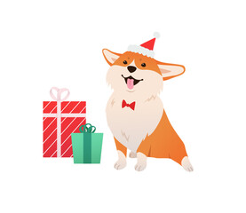 Corgi with Christmas Presents Holiday Vector art. Cheerful Dog Character dressed in a Santa hat and bow for celebration. Festive illustration on white background