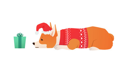 Cute cartoon Corgi puppy waiting for Christmas to open the present. Dog dressed in festive red sweater and Santa's hat. Counting days to Christmas vector illustration