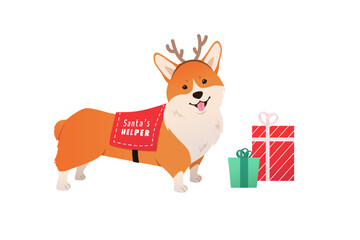 Christmas Сorgi dog dressed in reindeer antlers and a red vest. Cheerful vector pet character with holiday presents. Illustration for seasonal greetings, cards, stickers