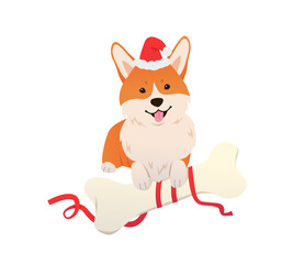 Happy Corgi With Christmas present Vector illustration. Dog wearing Santa hat with big bone. A joyful holiday scene for seasonal pet products, winter artwork, greeting card