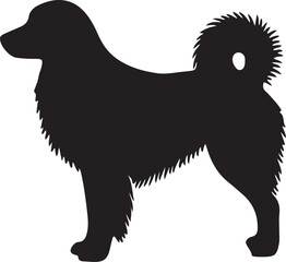Silhouette of a fluffy dog standing