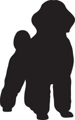 Silhouette of a fluffy dog standing