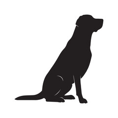 Silhouette of a fluffy dog standing