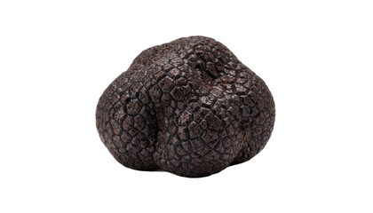 Single Black Truffle on a White Background, Gourmet Food