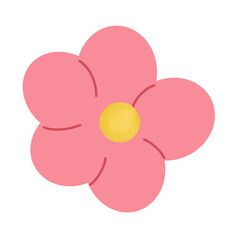 pink flower isolated on white