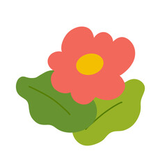 Flower illustration