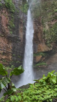 Koban Kapas Biru is a waterfall in the tropical jungles of East Java, descending from a high cliff into a lush green canyon surrounded by tropical forests with vibrant vegetation.Lumajang River. 4К