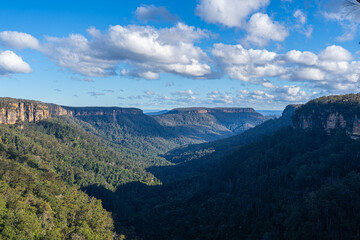 Obraz premium Blue Mountains Valley, New South Wales, Australia