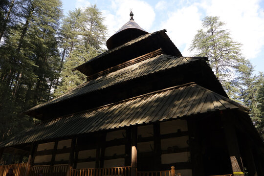 Manali, India &ndash; 03102025 Hadimba Devi Temple surrounded by tall pine trees.A serene cultural and spiritual landmark in Himachal Pradesh.A reminiscent of the ancient wooden architecture of india.
