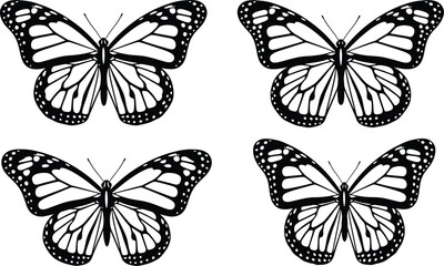 Four monarch butterflies arranged in a grid pattern on a white background