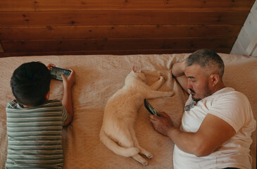 A white cat sleeps on the bed between a father and son looking at the phone