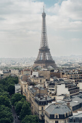 Naklejka premium Parisian cityscape with Eiffel Tower rising above buildings and trees under a cloudy sky