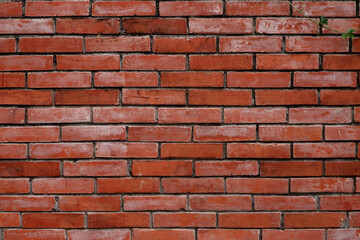 Obraz premium texture background of red brick wall