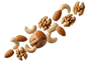 Assortment of healthy nuts including walnuts cashews and almonds scattered artfully transparent background