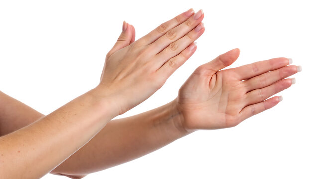Woman’s hands clapping in applause or rubbing gesture cut out on PNG. AI GENERATED.
- Powered by Adobe