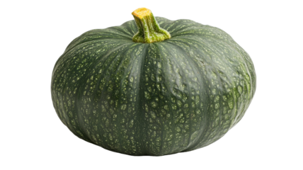 Green bumpy squash sitting upright with textured surface and natural fresh vegetable appearance clearly displayed isolated on white background