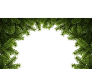 Green christmas fir tree branches arch frame isolated on transparent background