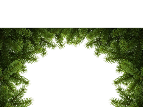 Green christmas fir tree branches arch frame isolated on transparent background