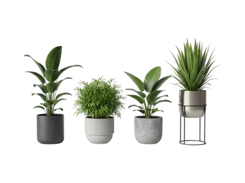 Four potted plants in modern planters isolated on transparent background - Powered by Adobe